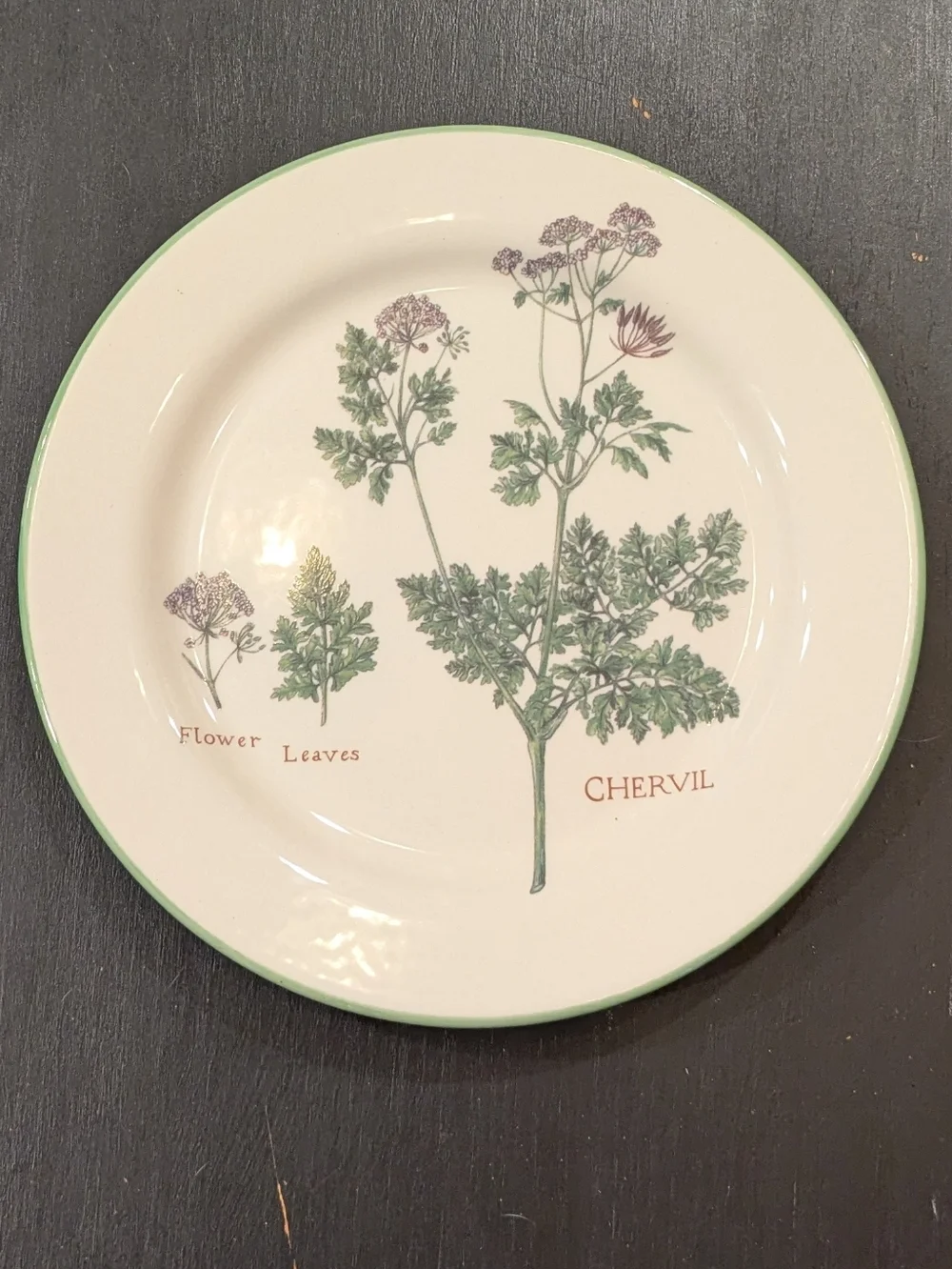Williams Sonoma set williams